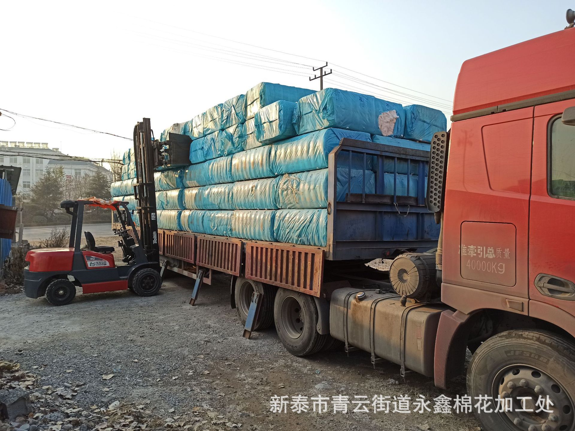 IMG_20191126_080622_副本_副本