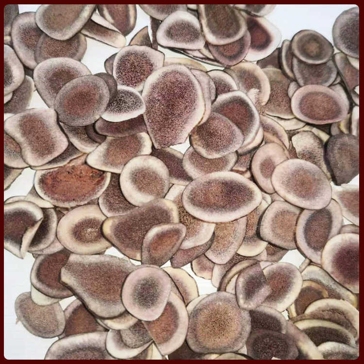 东北吉林鹿角片 散装带血鹿角片 现货 家养鹿茸片 中药材批发|ms