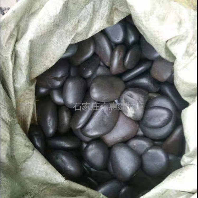 mmexport1553055312219_副本