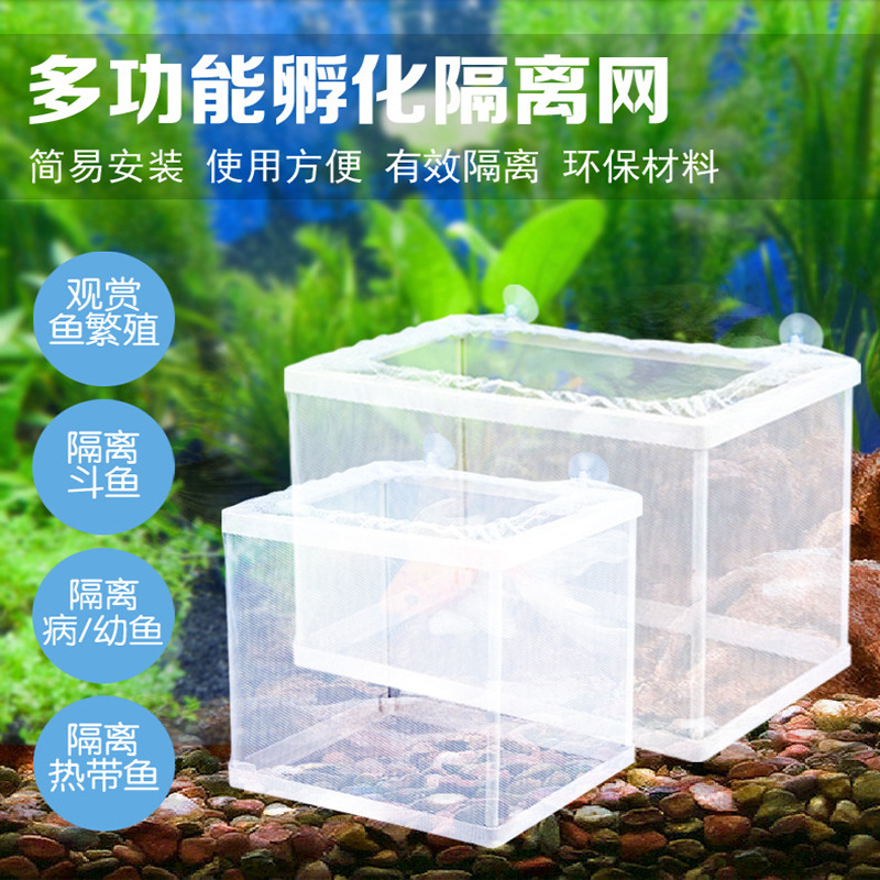 Jeneca/ Jinli fish tank Incubation Box Aquarium Guppy Isolation Box Multiplication Betta Isolation Box
