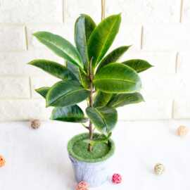 仿真绿植叶子手感3D榕叶办公室遮挡植物装饰插花配草假花批发