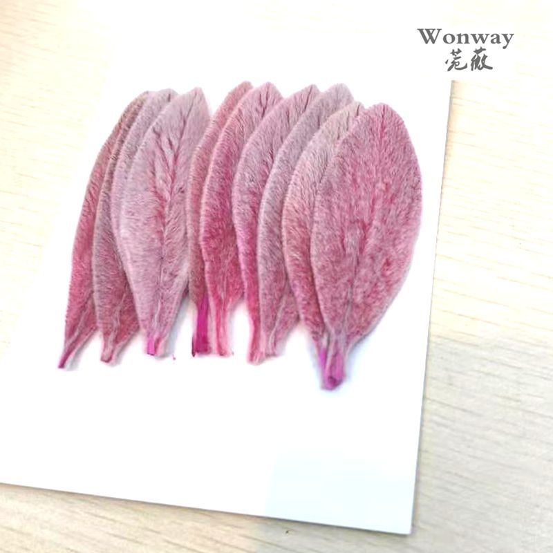 微信图片_20190310143908