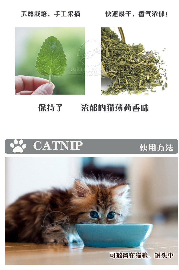 TB2ny7jdwOI.eBjSszhXXbHvFXa_!!