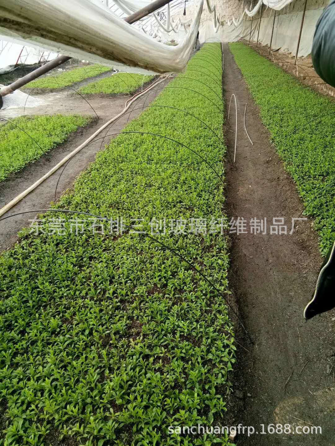 厂家专业生产直销高强度耐腐蚀纤维杆 实心玻纤棒价格实惠质量好