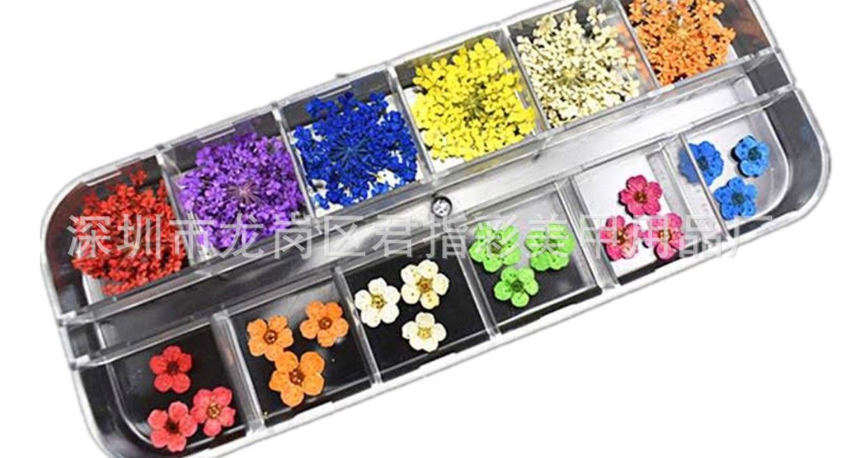 QQ图片20190727234336