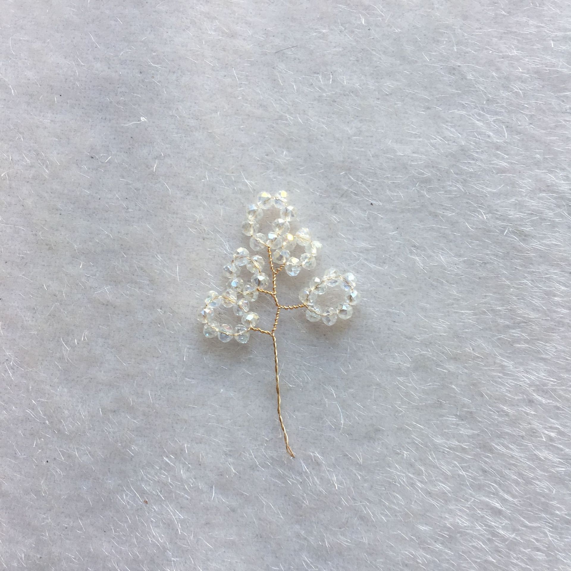 IMG_8895(20190524-075408)