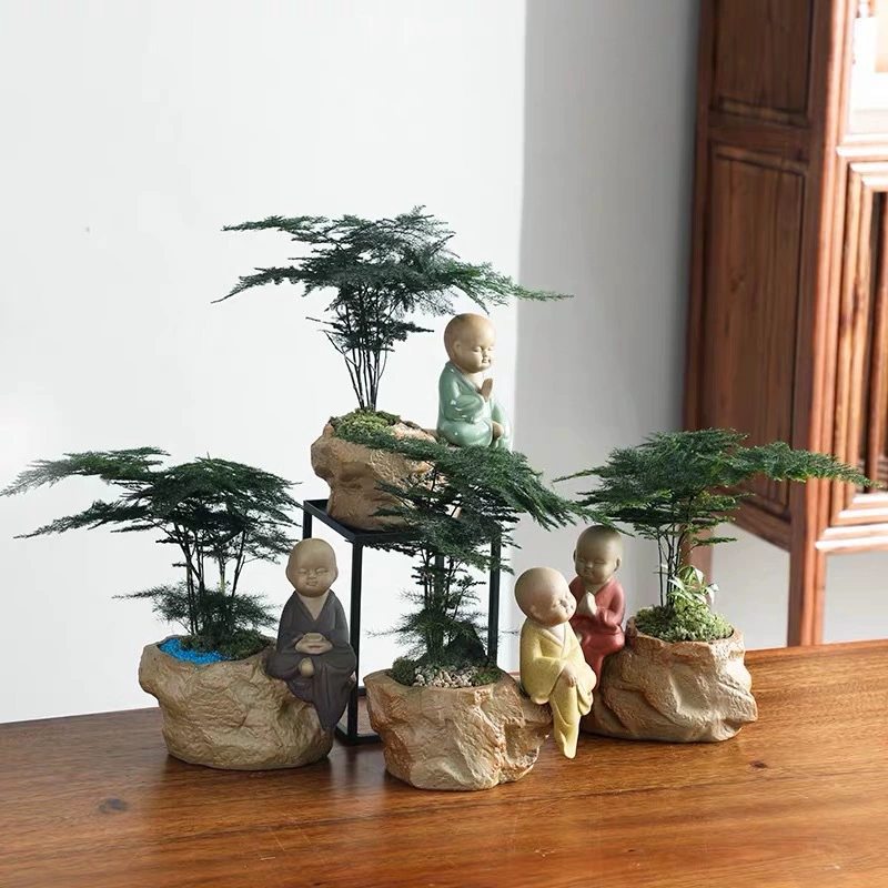 Бамбуковое растение в горшке комнатный цветочный офис настольное зеленое растение дзен маленький монах цветочный горшок Four Seasons бонсай