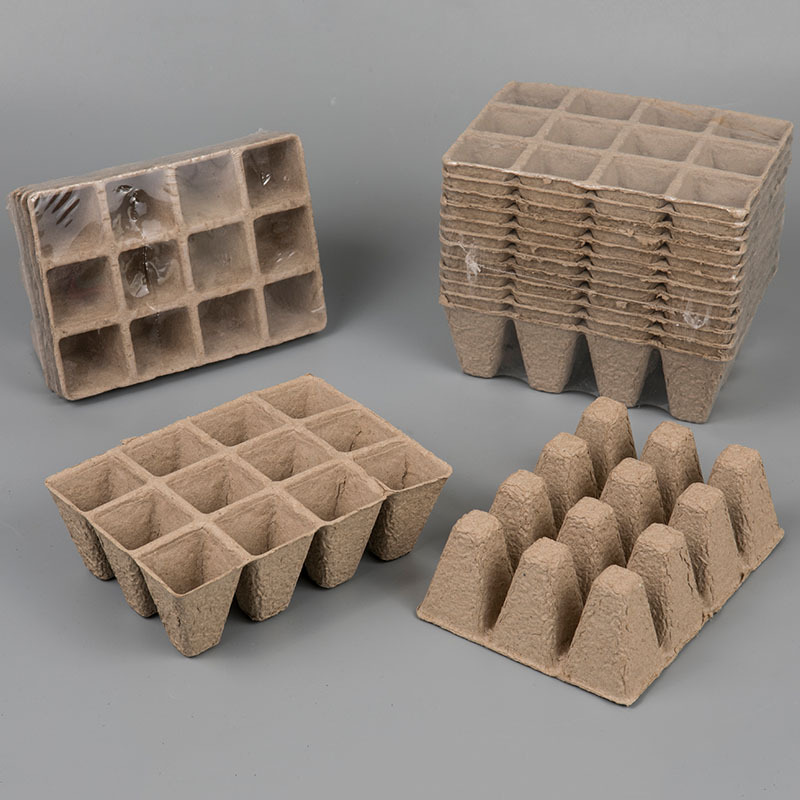 未标题-1_0004__S7A3540