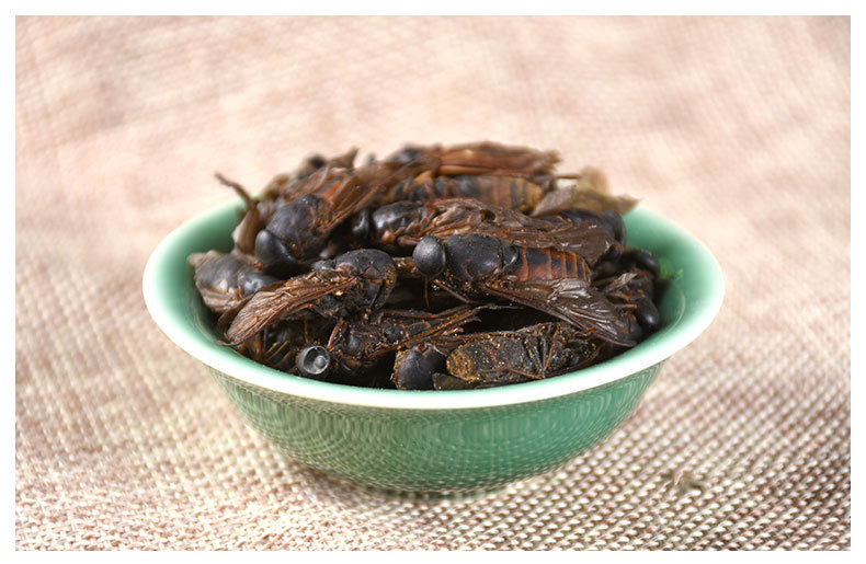 Niu Meng Chong (Tabanus) — Dried Horsefly Insect Herb, 500g Bulk key features