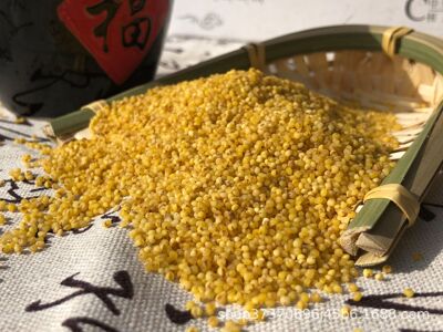 陕北高原农户种植黄小米黑小米各半斤试吃全国包邮支持一件代发