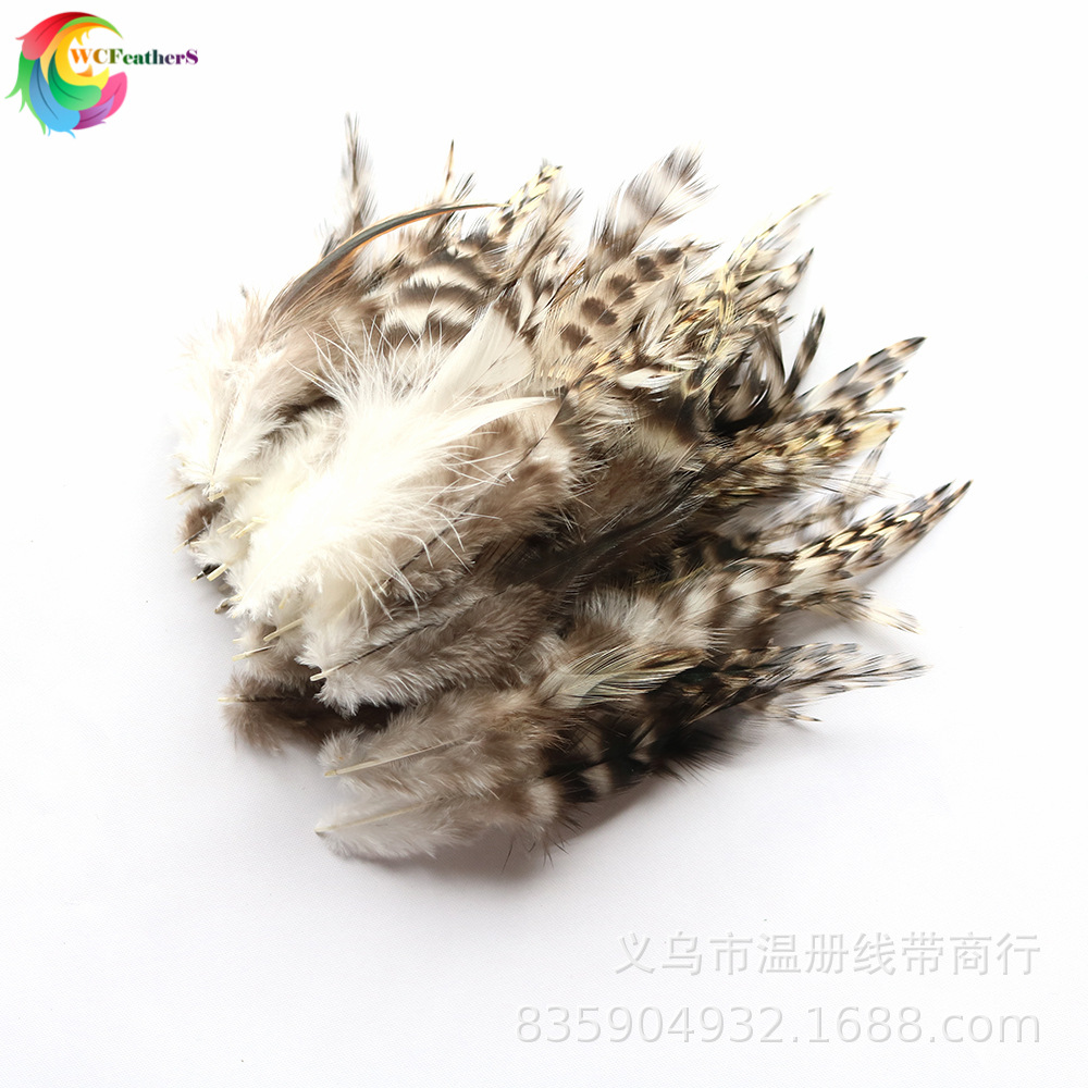 温册羽毛现货批发自然色青芦花尖8-16cm50根一套黑白条花鸡毛详情图8