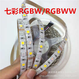 跨境专供LED5050软灯带 12V5050RGBW RGBWW七彩灯带每米60灯 特价