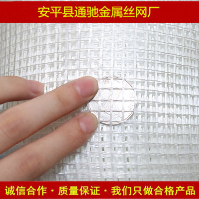 Manufactor wholesale fibre Mesh Building mesh Alkali Glass fibre Mesh Renovation