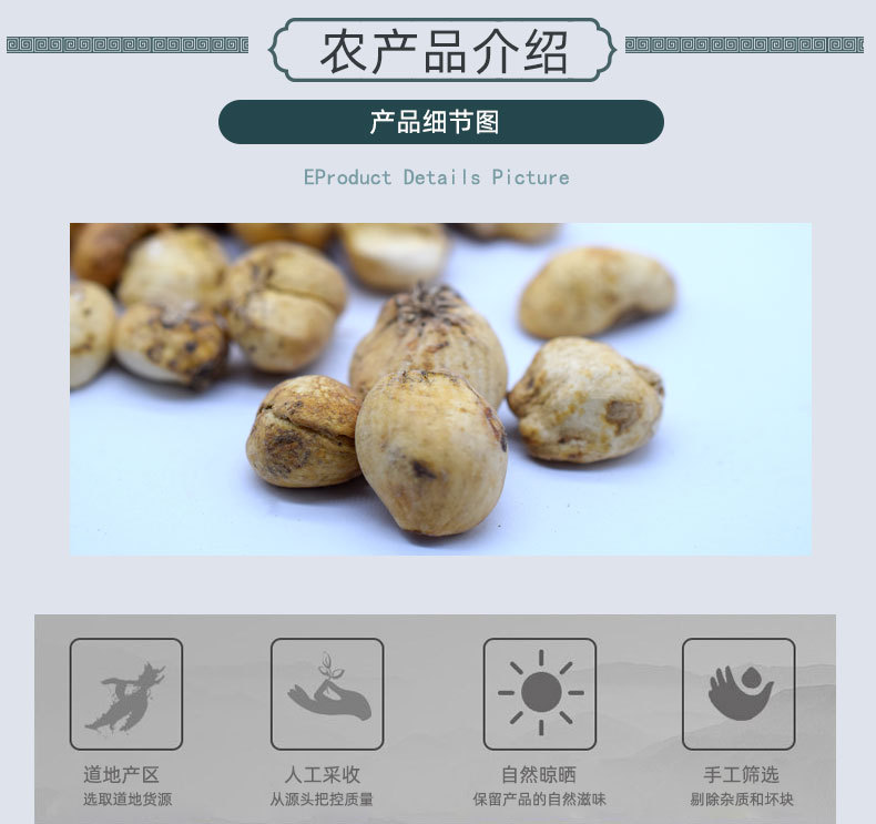 Xinjiang Bulbus Fritillaria Whole Dried Herb Beimu Yibeimu Bulk 500g key features