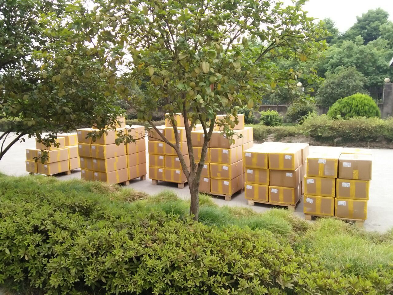 3491826719_1893584268