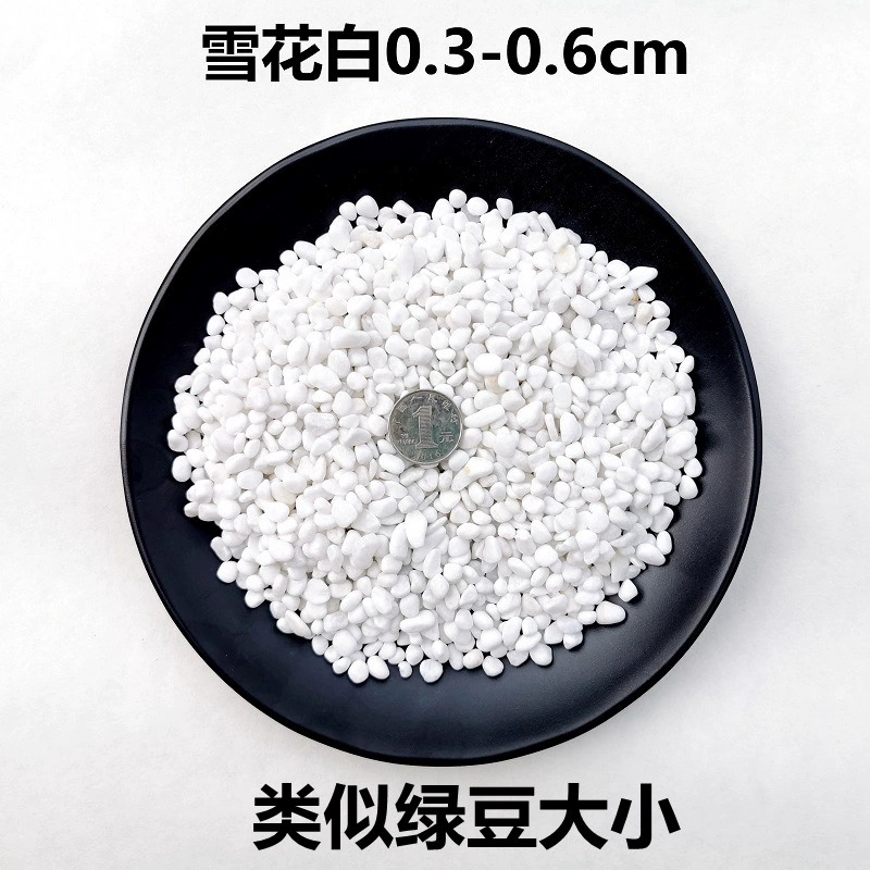 ✅Natural white stone pebbles white stone white marble colored stone gardening potted stone succulent paving courtyard construction