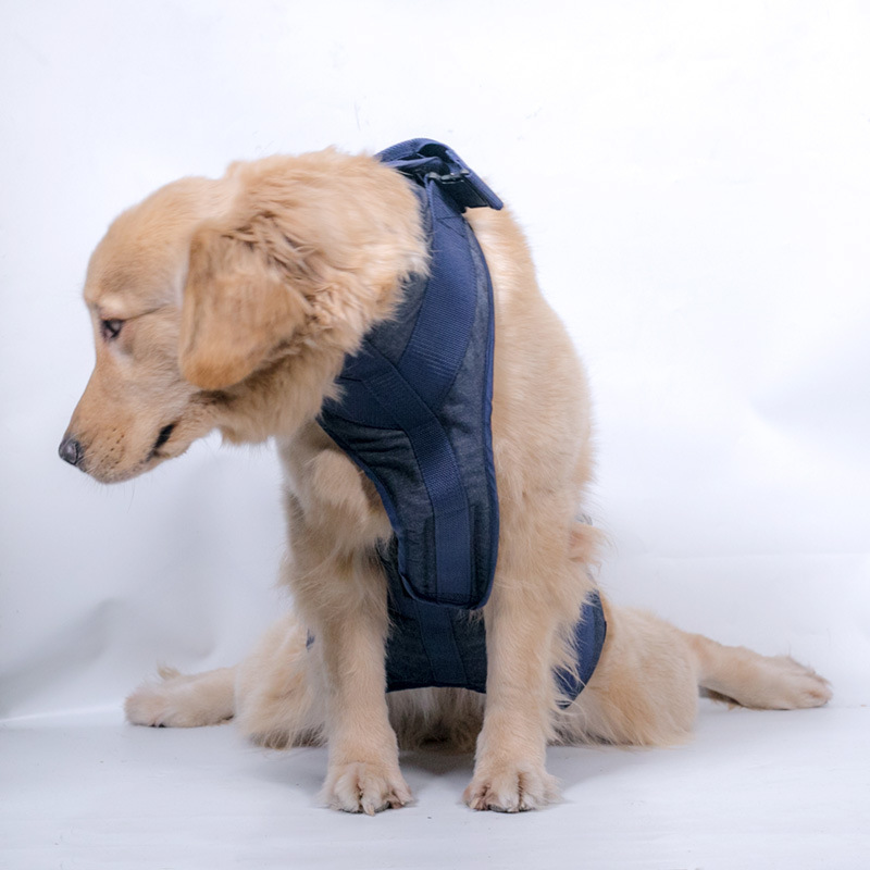 Pet Dog Leash Elderly Dog Senior Dog Walking Hand-Holding Assistant Strap Medical Back Strap Walker