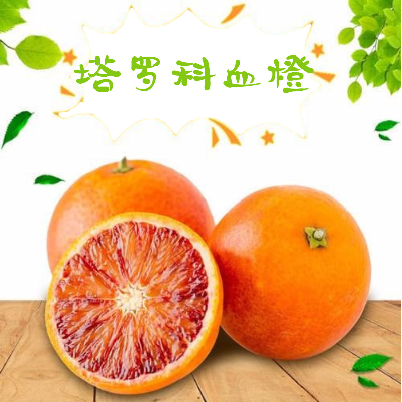 四川资中塔罗科香甜血橙非中华红血橙赣南脐橙新鲜水果 一件代发