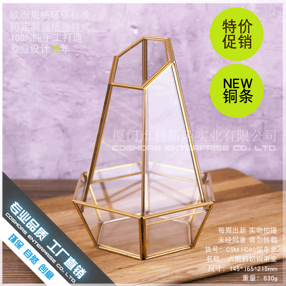 六面斜切铜条金玻璃花房永生花苔藓微景观瓶透明创意多肉花盆批发