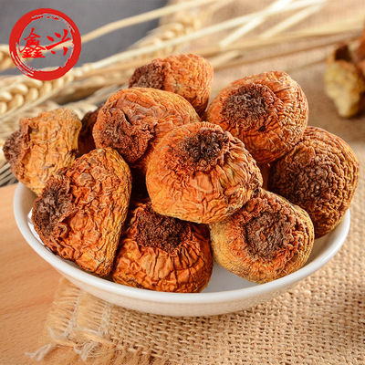 Xin Xing Fujian Furuta Agaricus blazei 500g Pine mushroom Mushroom specialty Special purchases for the Spring Festival dried food Direct selling wholesale