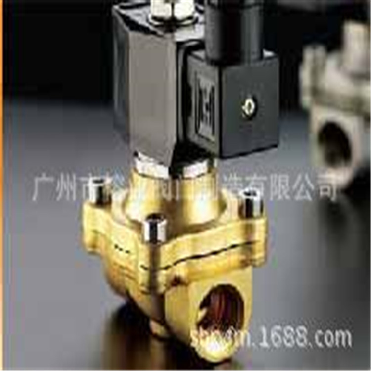 ZS-15-20-25-32-40-50全铜水（热水）气 电磁阀 厂家直销