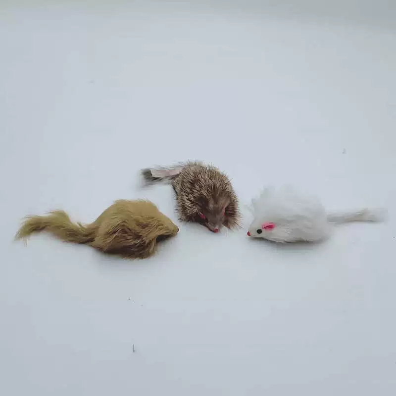 Реалистичная игрушка, кошка, новый ассортимент, питомец, может укусить