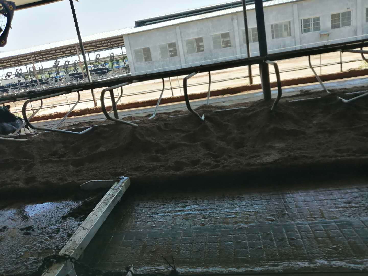 国内  新型刮粪机  刮粪板 清粪机