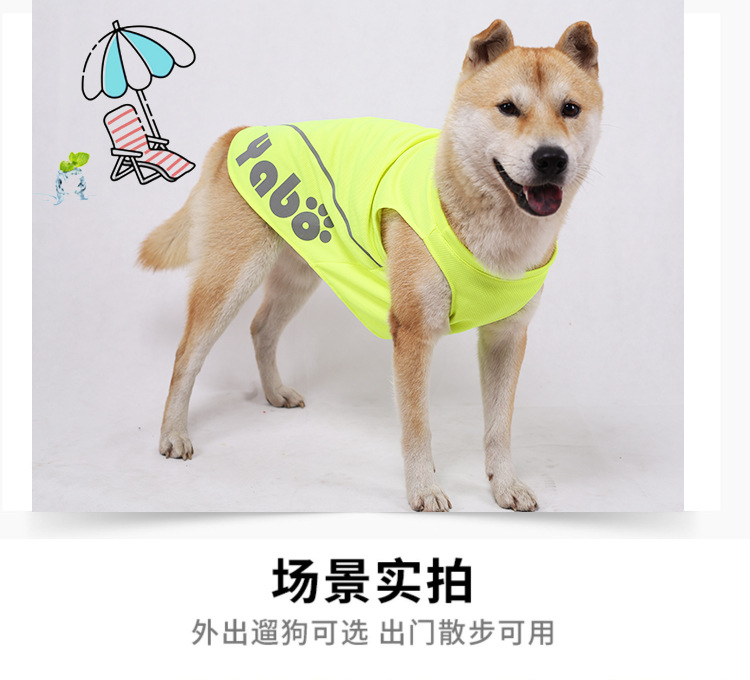 详情切片