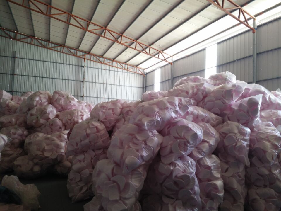 2599921595_1591845942