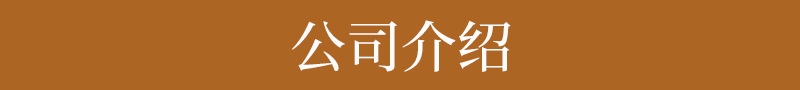公司介绍.jpg