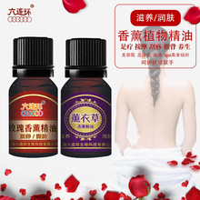 �ͷ�����Ժ��Ħ��ԡ������������õ��޹�²��Ʊ��۲��o�w�����׺�