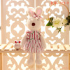 Rabbit, appeases children's doll, plush toy, Birthday gift