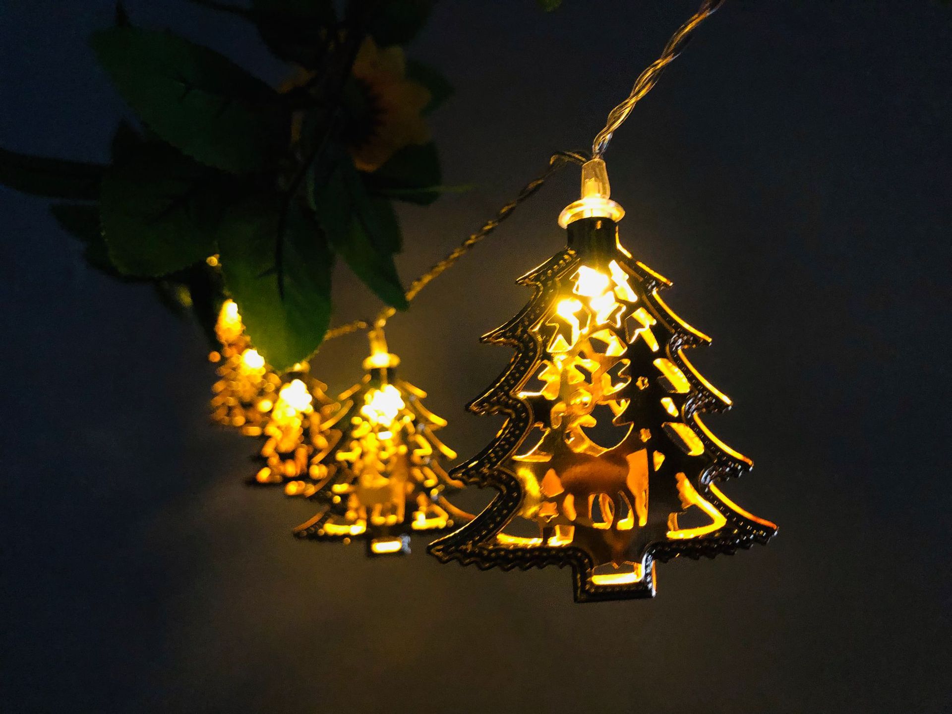 IMG_4882(20190511-201726)