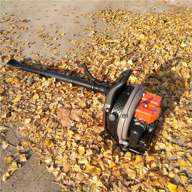 便携式四冲程吹叶机 道路养护吹风除尘机 手提式风力灭火机