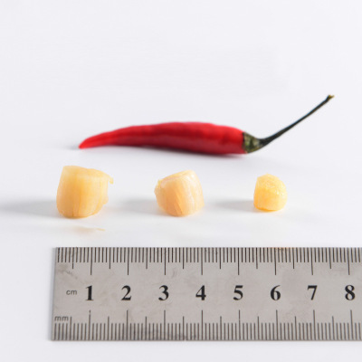 干贝 海产品干货 海鲜干货 家乡特产 干海产 大干贝250克袋装批发