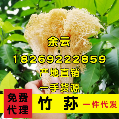 产地直销竹荪批发竹荪蛋干货无硫500g贵州古田竹荪菌散装短裙长裙