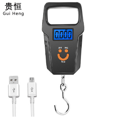 direct deal charge Portable scales household Electronic scale USB Charging hanging structure scale 50kg Fishing Scales One piece On behalf of