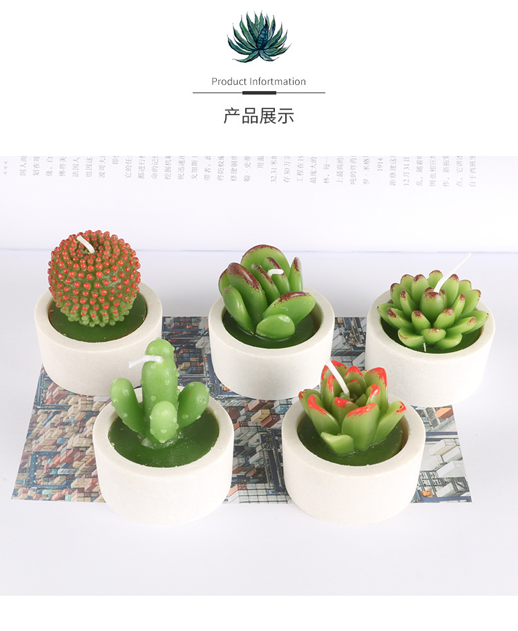 12个有底座多肉套盒_05.jpg