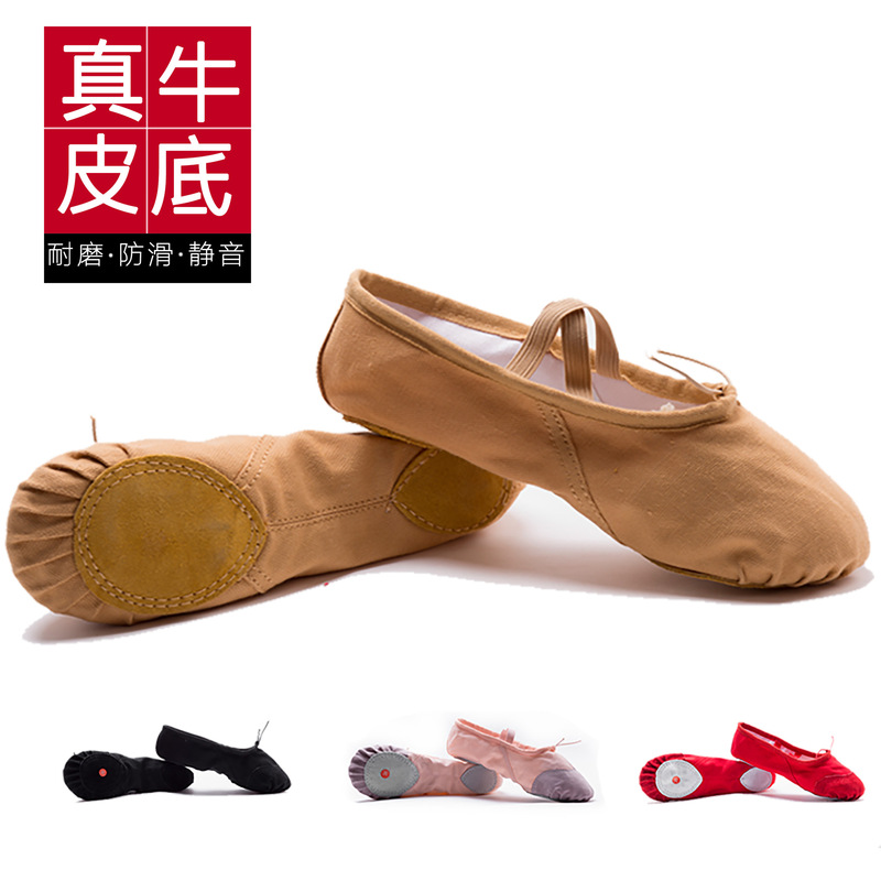 Adult Children Dance Shoes Women Wholesale Soft Bottom Practice Shoes Men's Cat Claw Shoes Dance Body Yoga Ballet Shoes