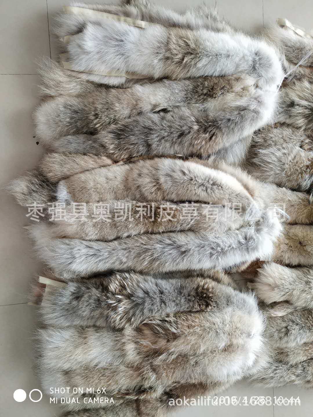 mmexport1556246789885