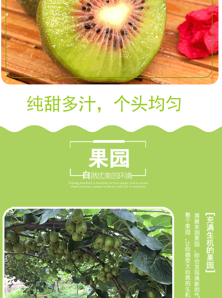 红心猕猴桃详情页2组_06