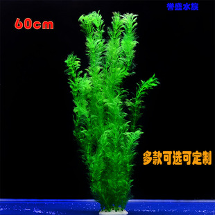 �~���b� ����ˮ�� ˮ���쾰��ˮ���b� ����ˮ�� �ٻ�ˮ�� ���