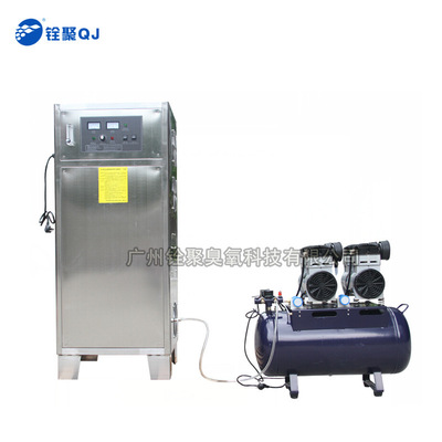铨聚50g臭氧发生器泳池水消毒桶装水消毒污水脱色臭氧消毒机|ru