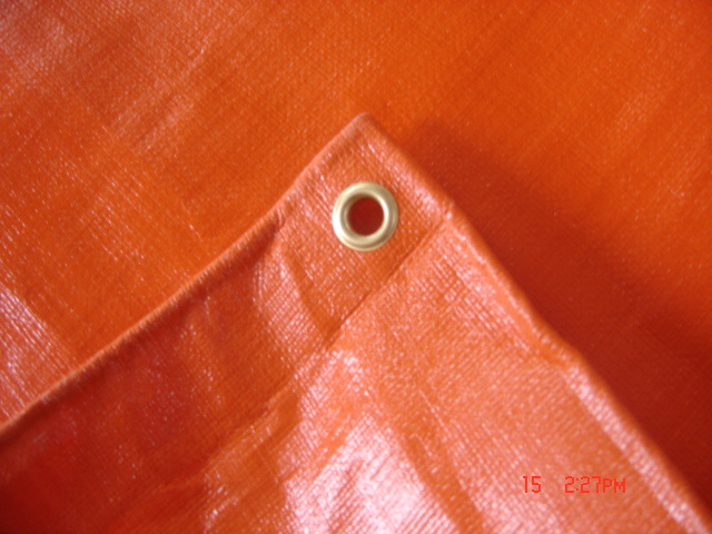 供应蓬布 PE篷布 盖布 【厂家直供】【多色 可供特殊规格】