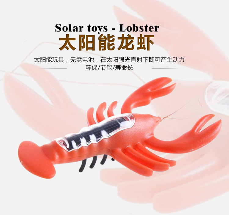 Factory direct solar crayfish