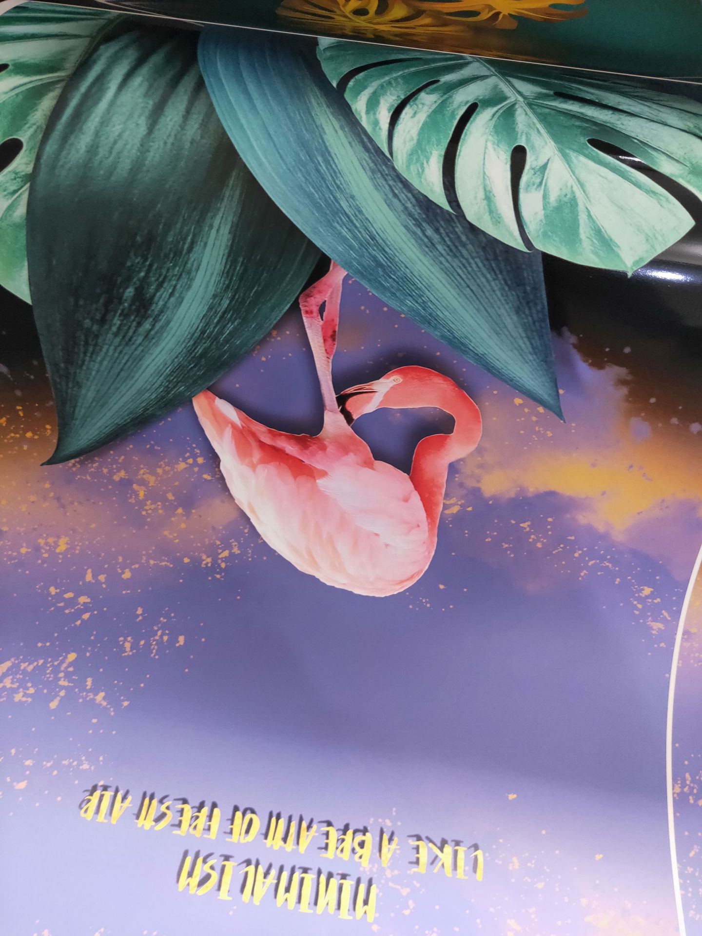 新建文件夹IMG20190428140517