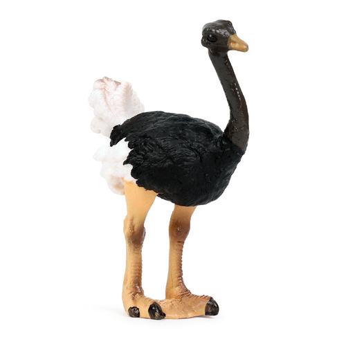 Cross-border children's cognitive simulation wild animal bird model African ostrich bird toy ornaments hand-made set