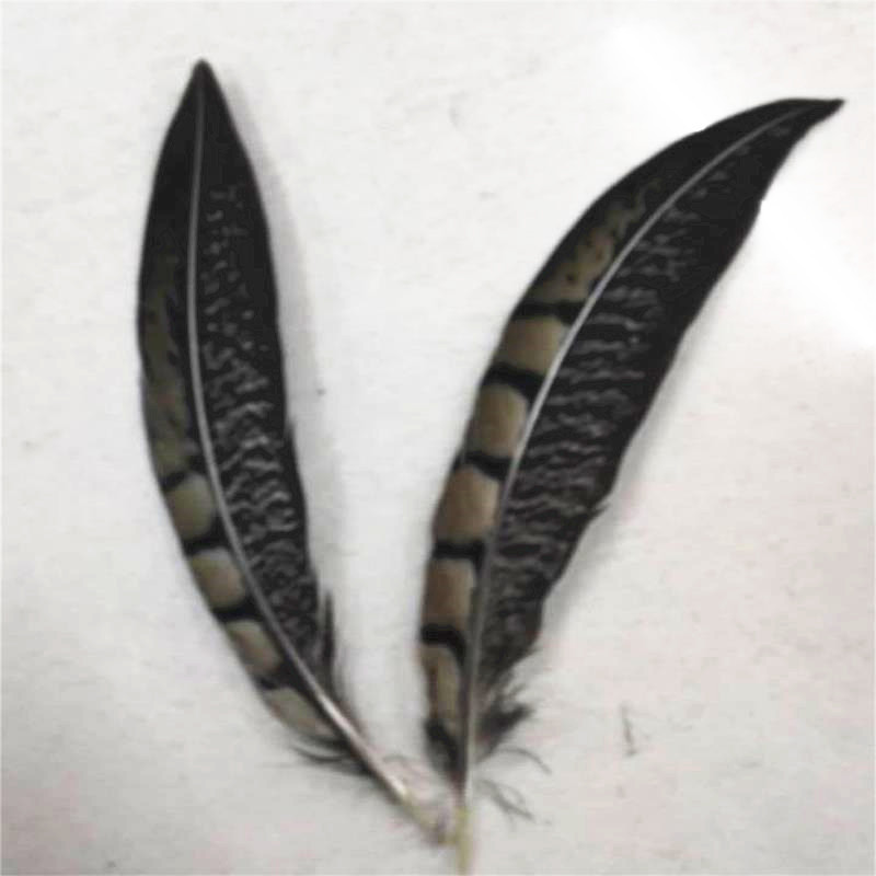 QQ图片20190411135752_副本