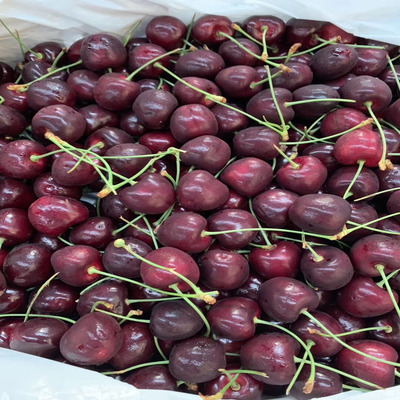现货 智利进口车厘子 2斤装  果径约26-32mm 新鲜水果 顺丰包邮|ru