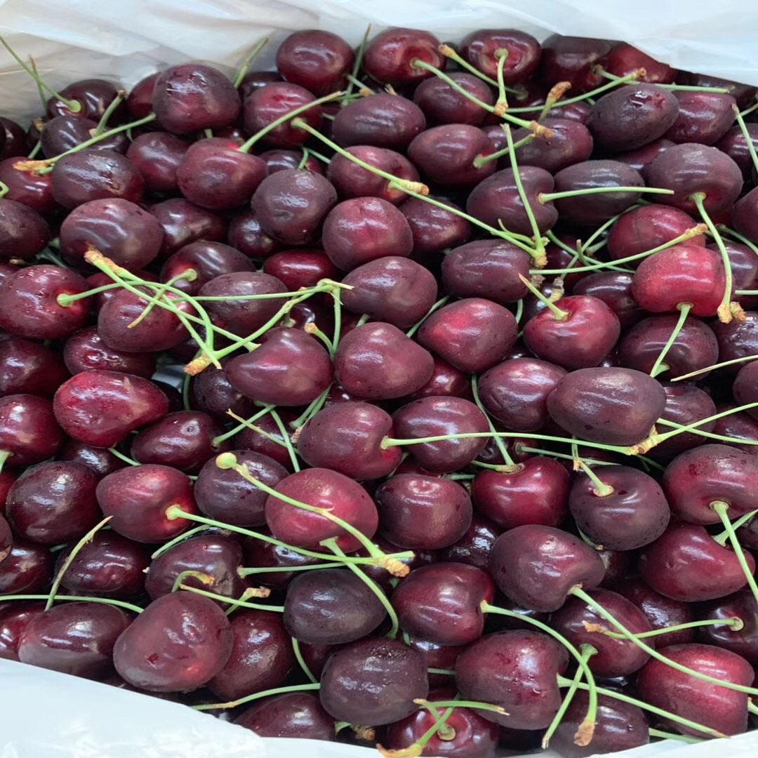 现货 智利进口车厘子 2斤装  果径约26-32mm 新鲜水果 顺丰包邮|ru